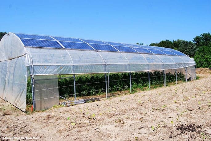 Benefits-of-Solar-Greenhouse-Systems