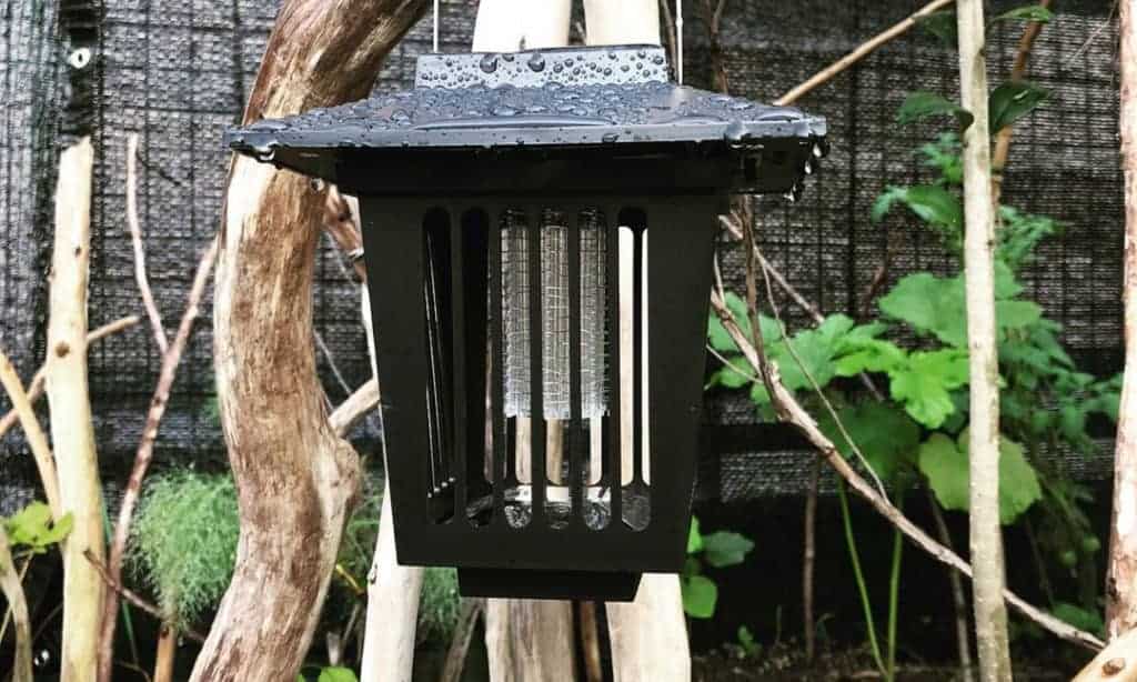 How to Choose Solar Bug Zapper