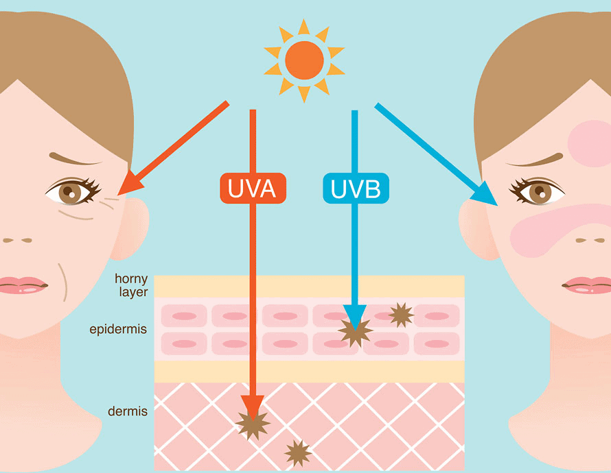 UV-Radiation-and-the-Skin
