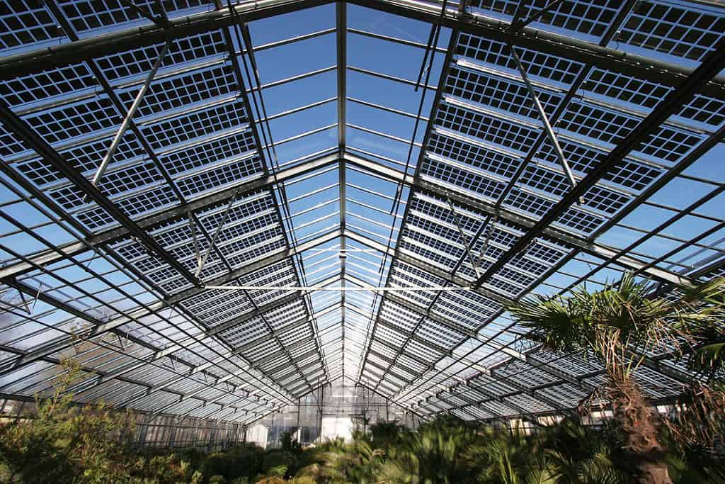 olar-panels-on-the-roof-of-the-greenhouse
