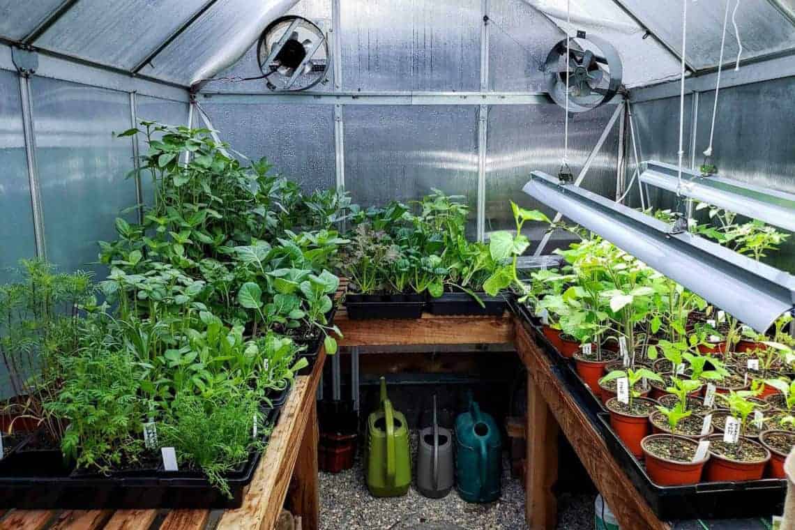 solar-heaters-for-greenhouses