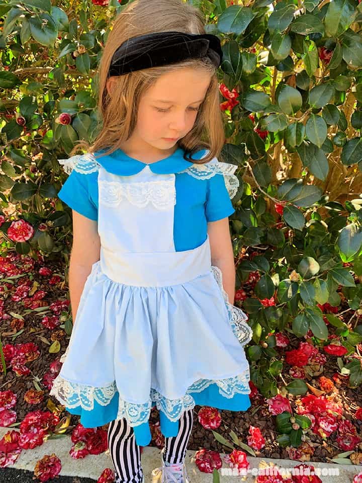 25 Diy Alice In Wonderland Costume Ideas - Solar Living Savvy