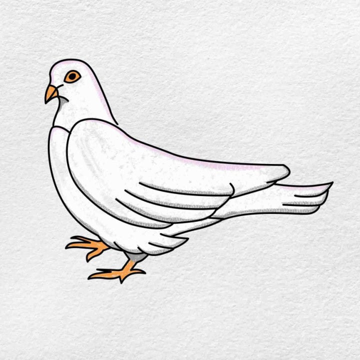 17 Easy Dove Drawing Ideas - Solar Living Savvy