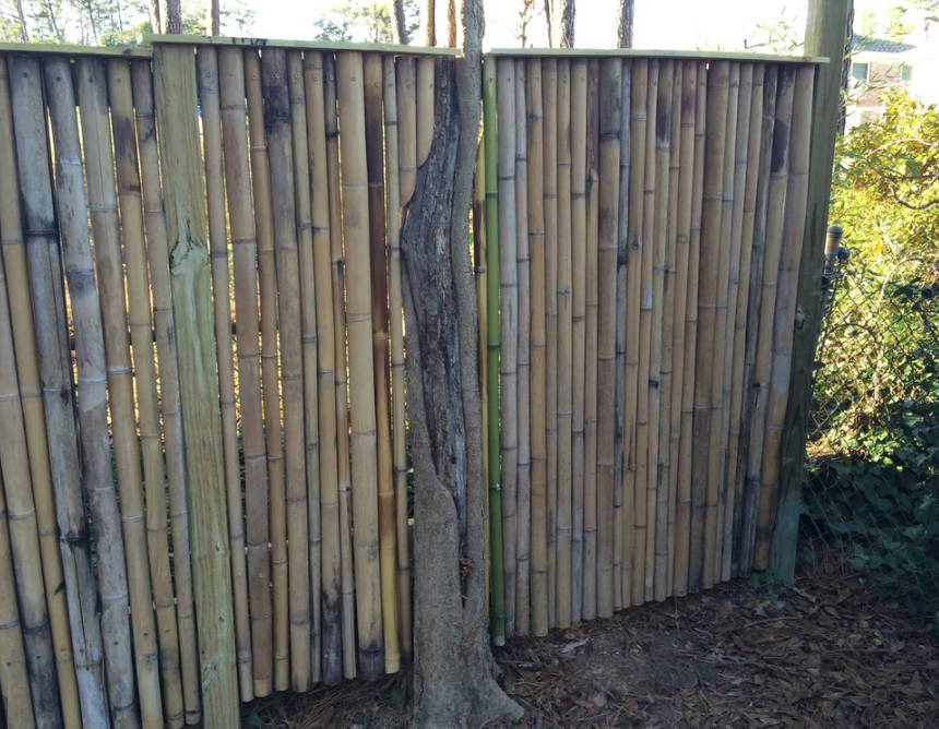 Accommodate Trees
