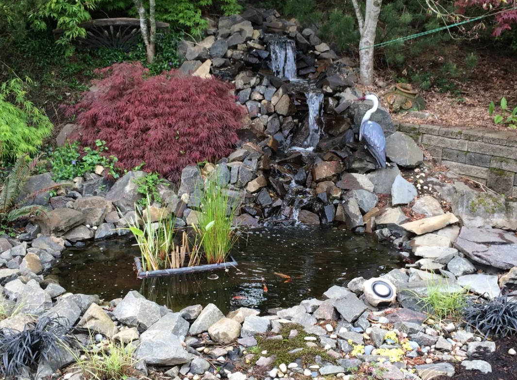 DIY Backyard Pond and Waterfall