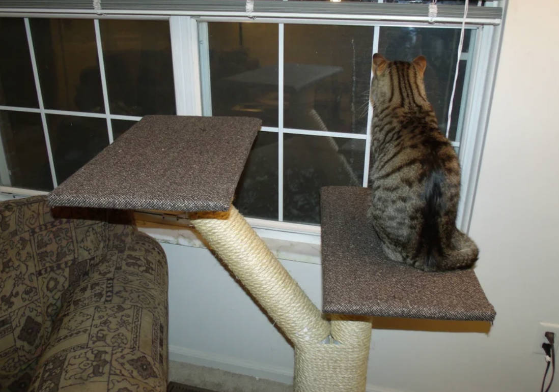 Finish Wrapping the Posts