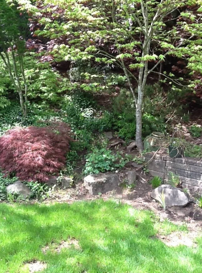 Planning Your Pond