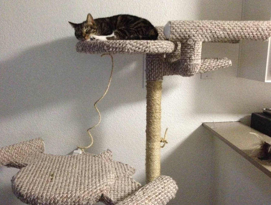 diy Star Trek Cat Tree