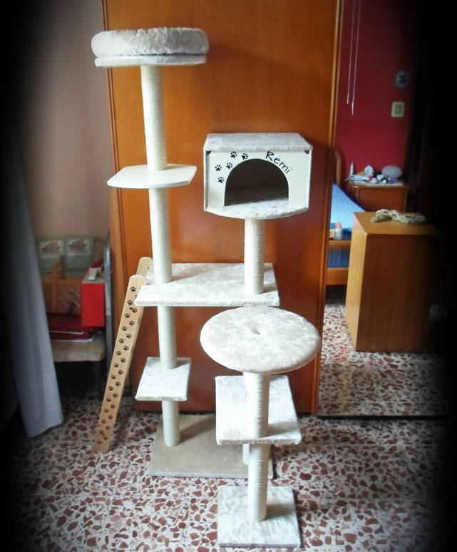 diy-cat-climbing-tree