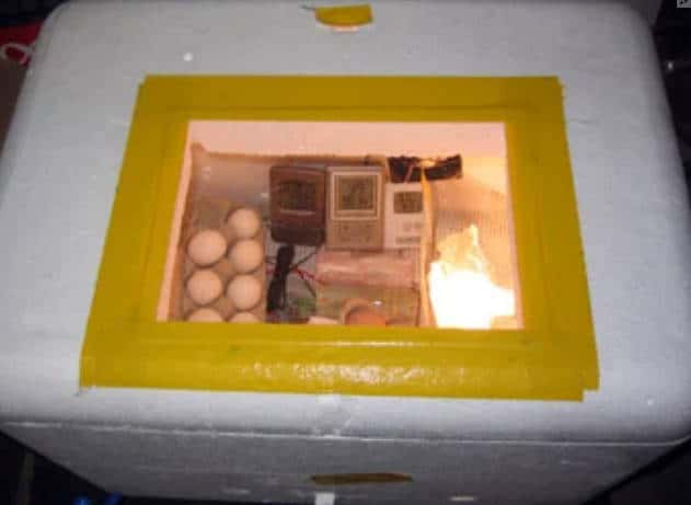diy-forced-air-chick-incubator