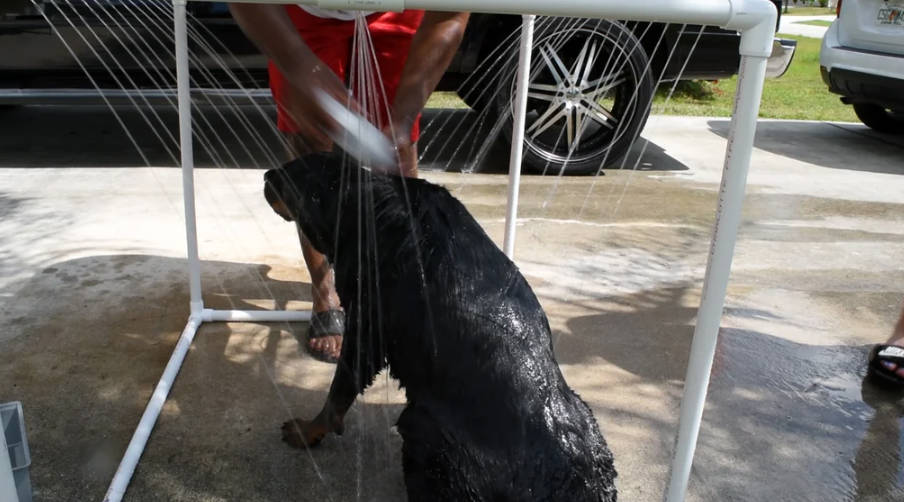 diy-outdoor-dog-shower