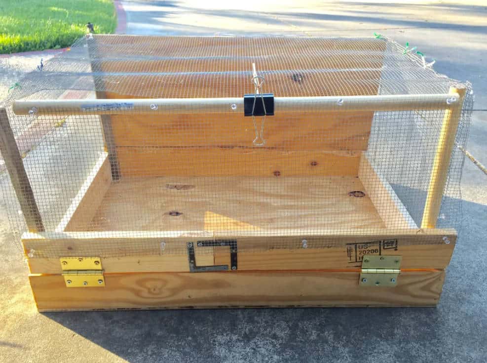 diy-shift-chick-brooder